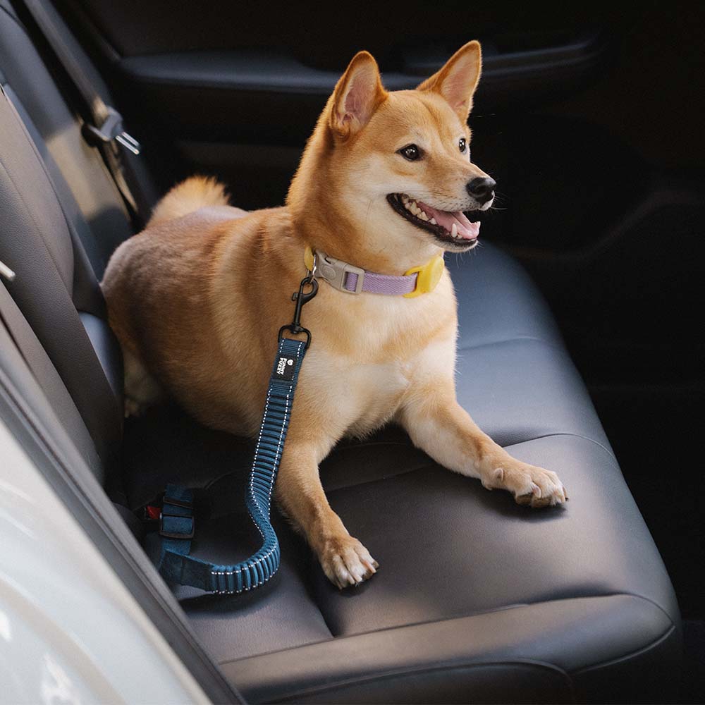 Car Seat Belt Buffer Adjustable Cool Dog Accessories
