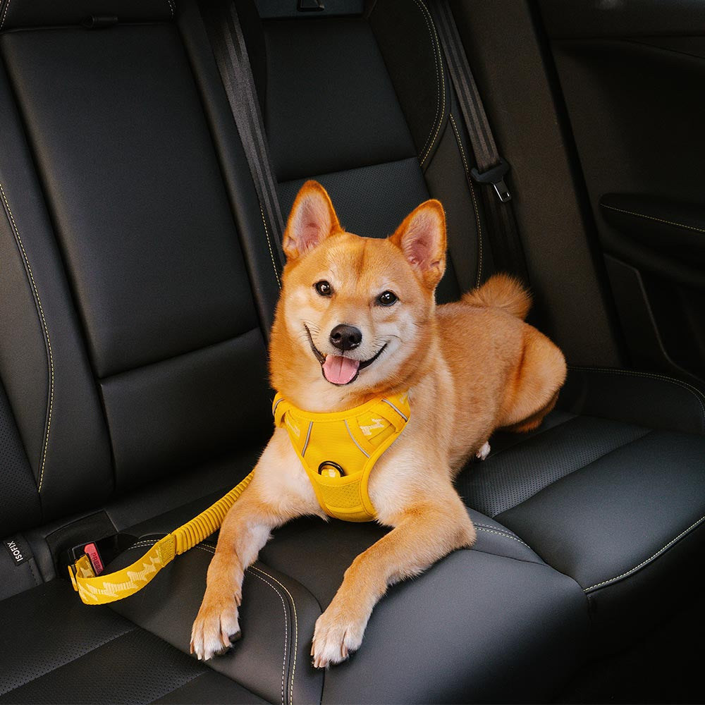 Car Seat Belt Buffer Adjustable Cool Dog Accessories