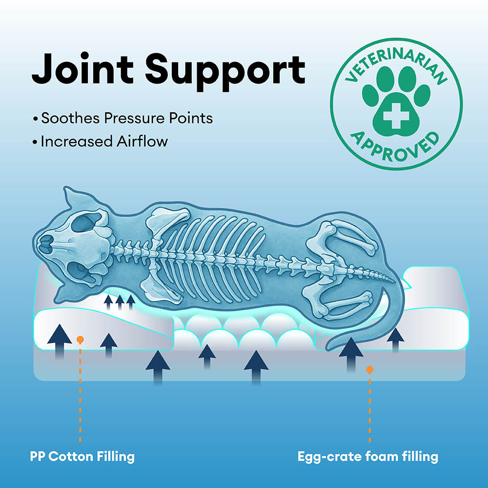 Spacious Cozy Durable Orthopedic Washable Dog & Cat Bed