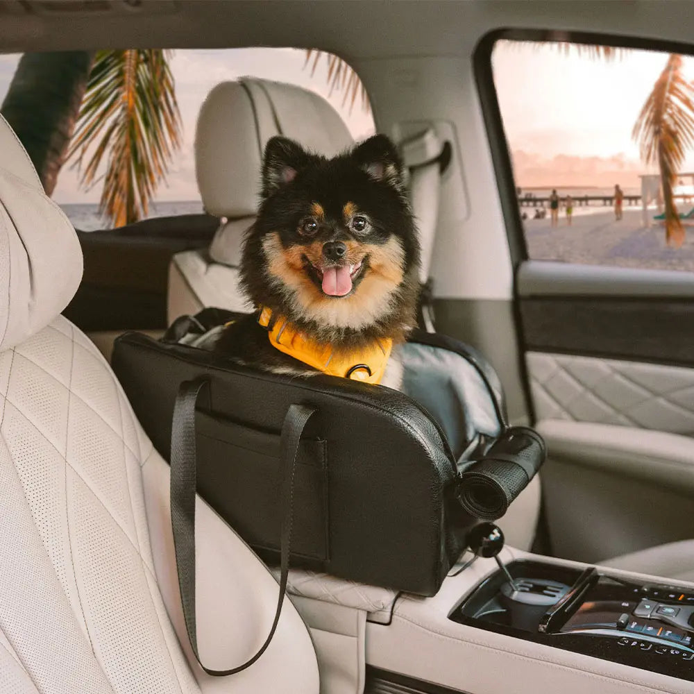 Travel Safety Elevated Detachable Dog Car Seat Center Console for Small Dogs