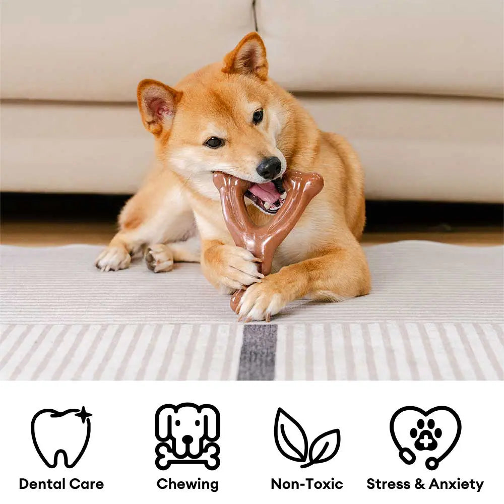 Teething Bones Dog Chew Toy - Bacon-Flavored