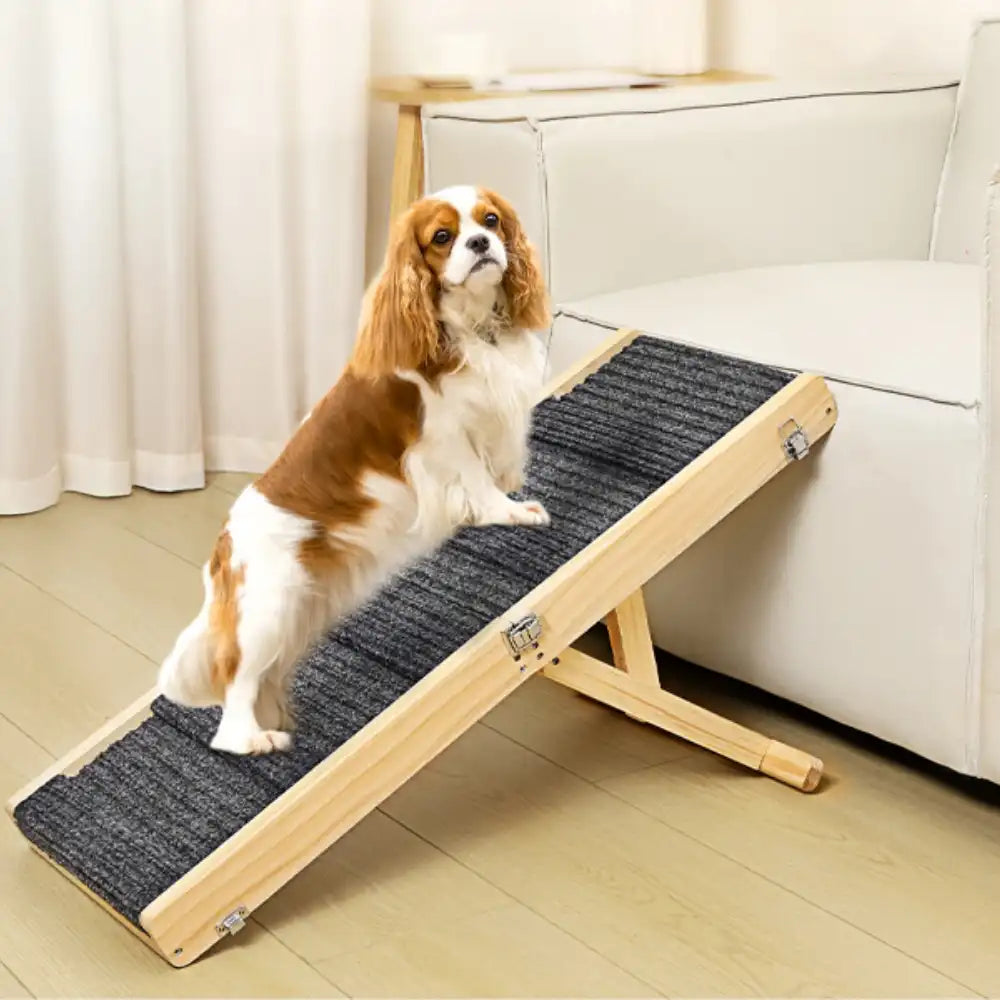 Wooden Dog Ramp 4 Levels Height Adjustable Foldable Dog Stairs