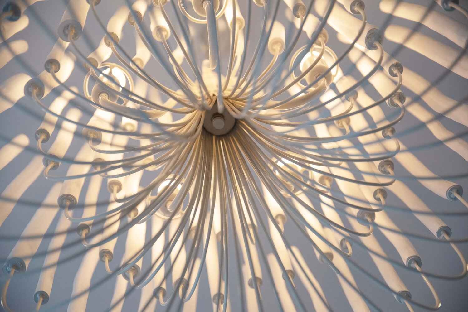 5/6 - Light Modern Branch Modeling Chandelier in White or Black for Stylish Interiors - 5 Lights / D21"*H29"WhiteWarm LightJoyfuzzy