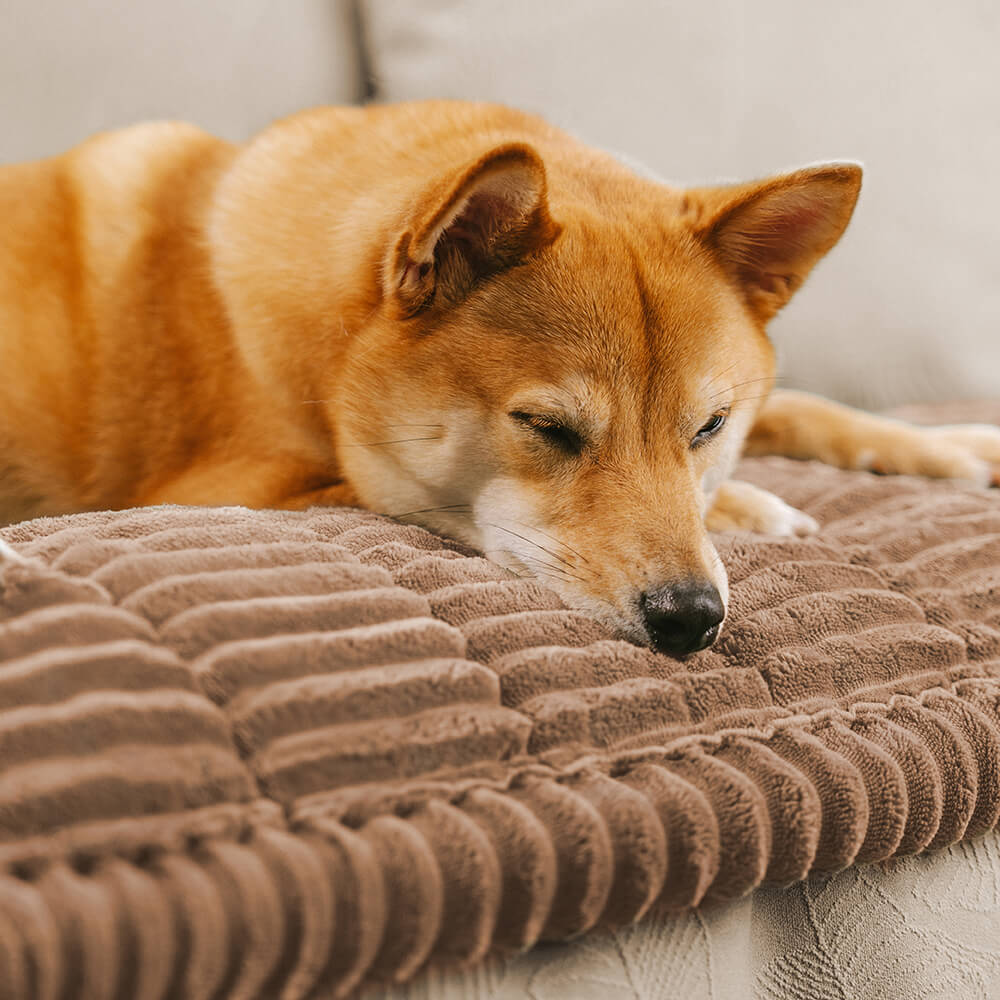 Make Waffle Biscuit Couch Cover – Cozy Soft Flannel & Breathable Pet Mat