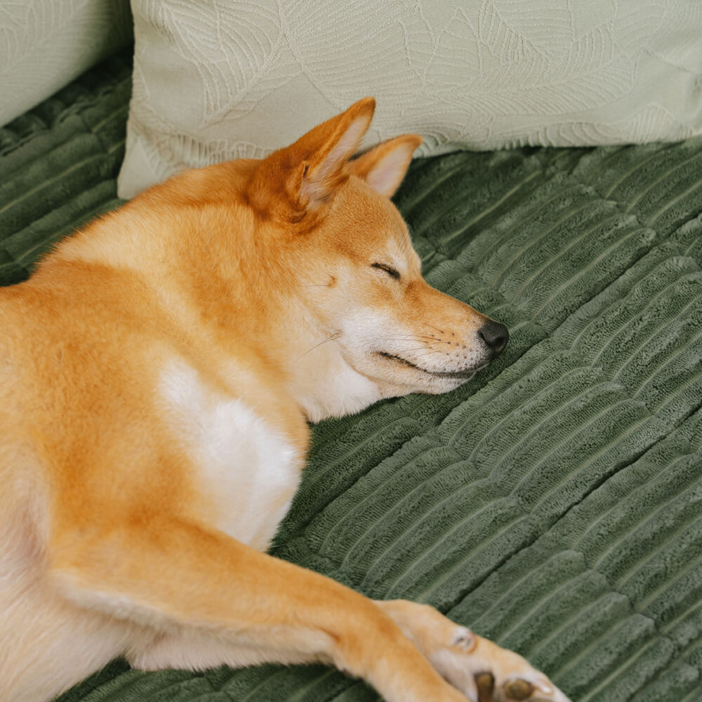 Lazy Soft Flannel Breathable Pet Mat Non-slip Couch Covers