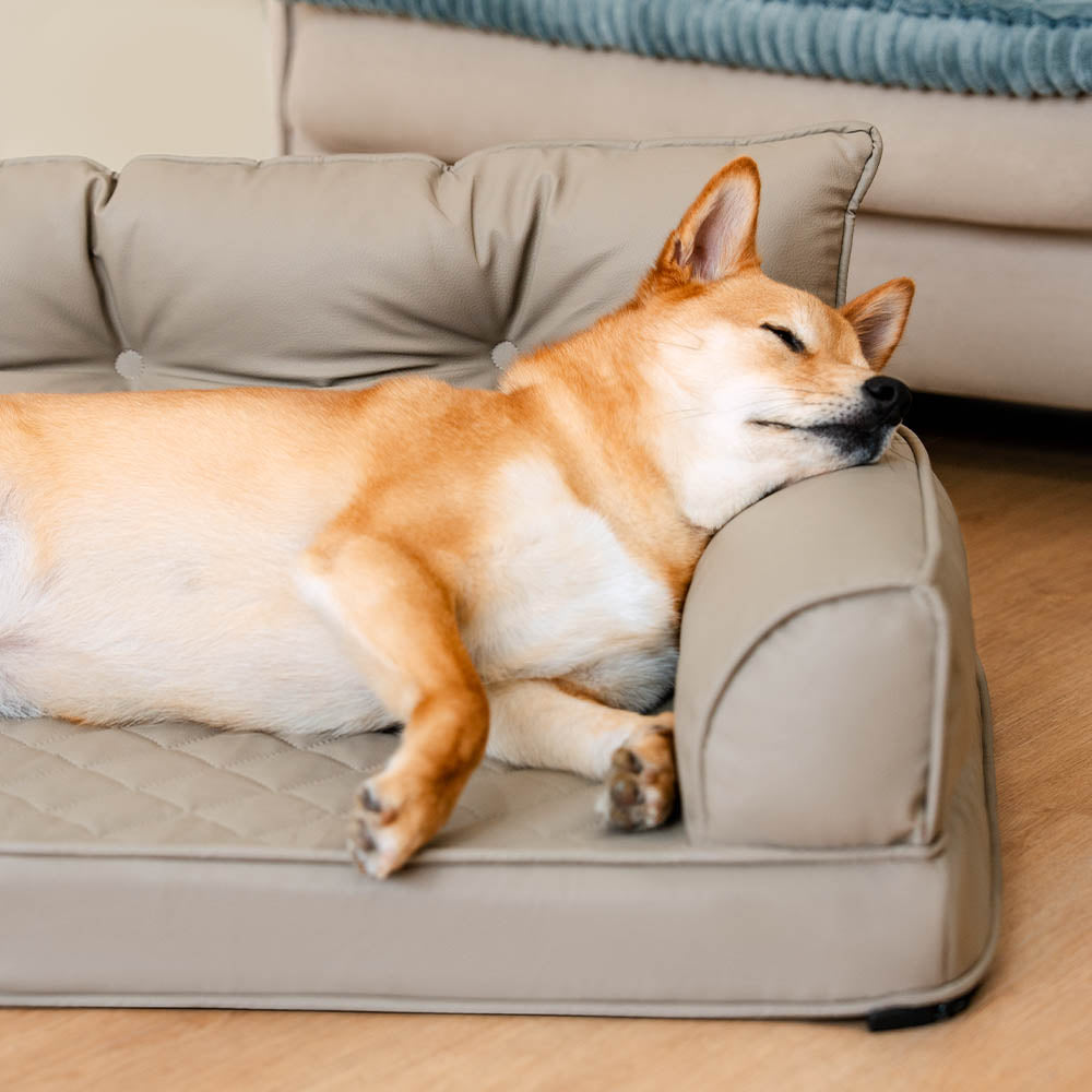 Luxe Faux Leather Foldable Orthopedic Large Dog Bed - CoreLounge
