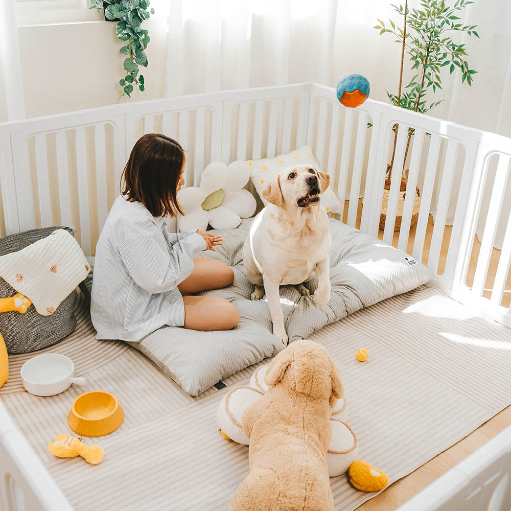 Dual-Sided Cozy Plush Washable Calming Dog Mat