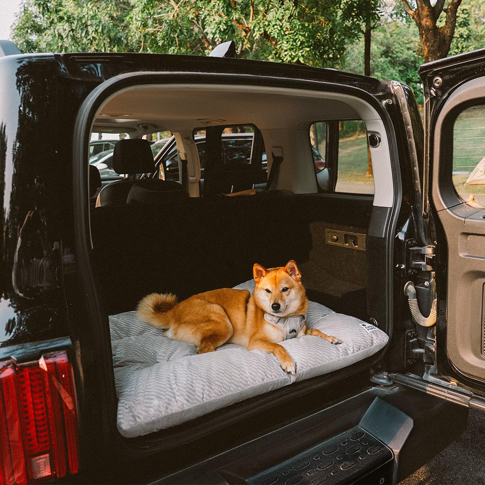 Dual-Sided Cozy Plush Washable Calming Dog Mat