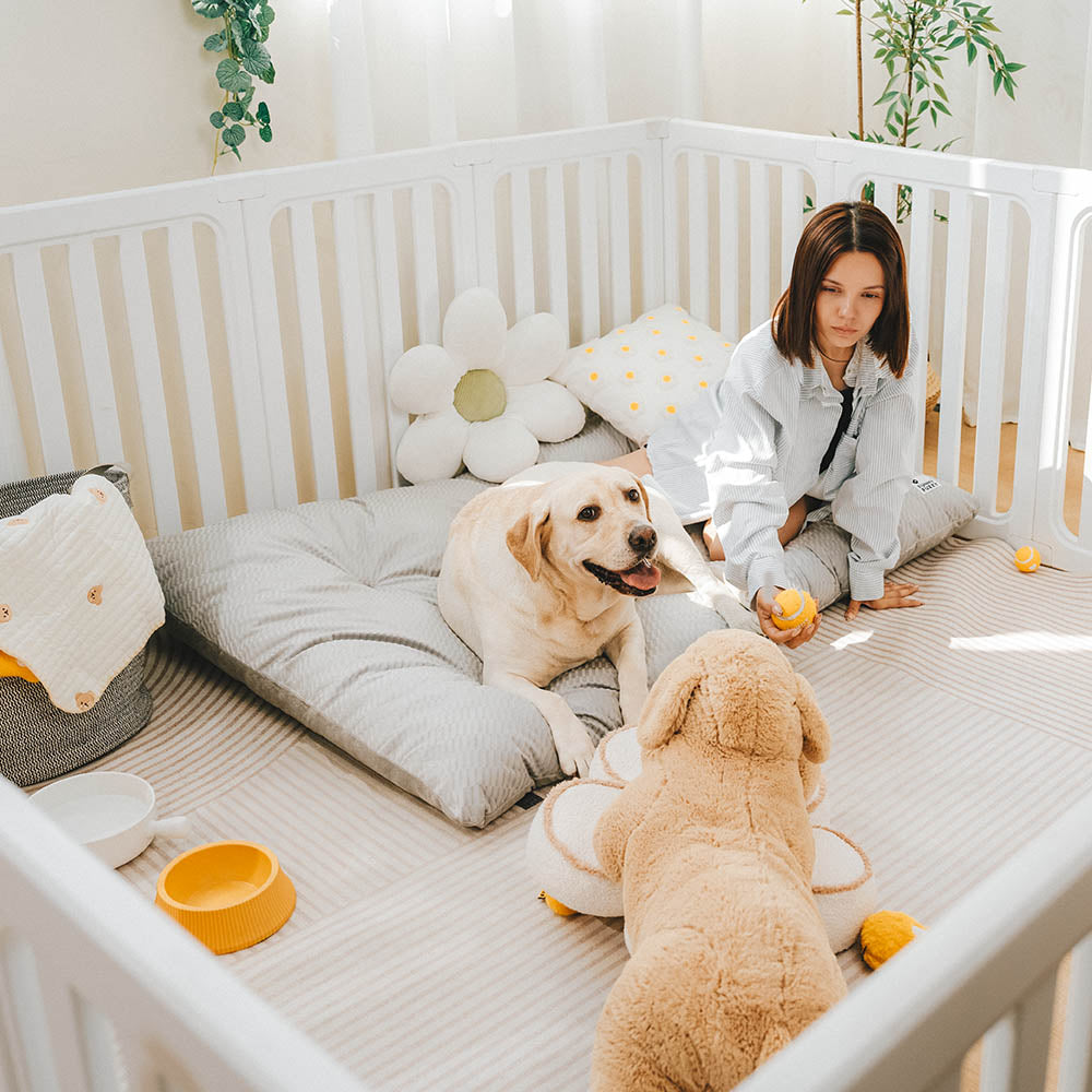 Dual-Sided Cozy Plush Washable Calming Dog Mat