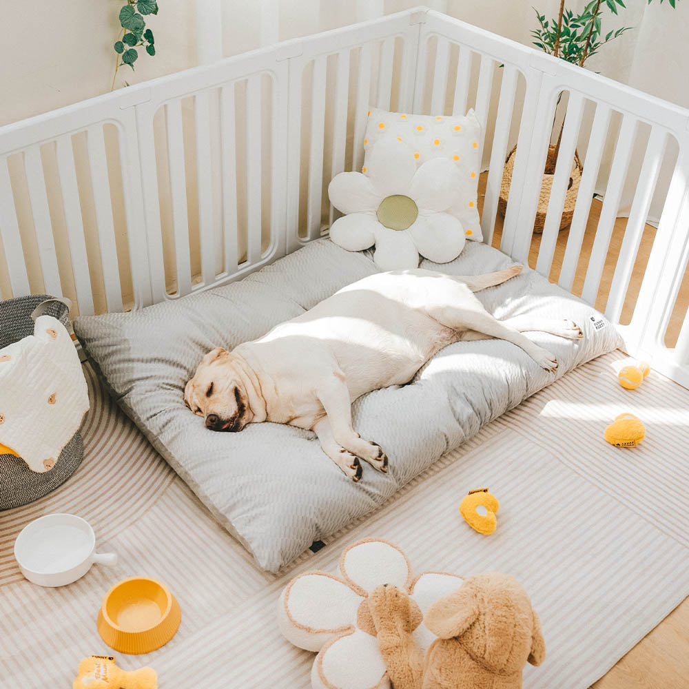 Dual-Sided Cozy Plush Washable Calming Dog Mat