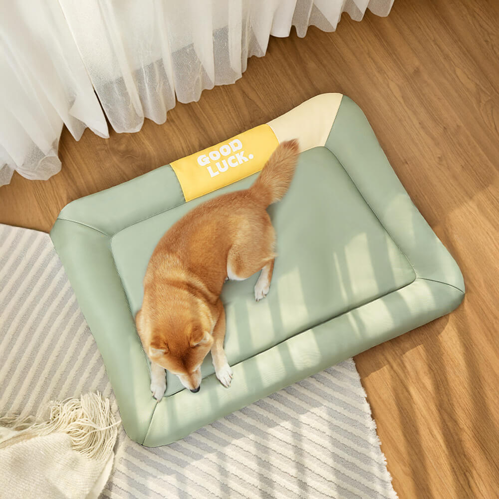 Colorblock Waterproof Scratch-Resistant All-Season Dog Mat