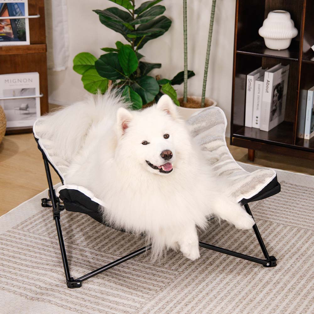 Foldable Elevated Portable Outdoor Camping Dog & Cat Bed