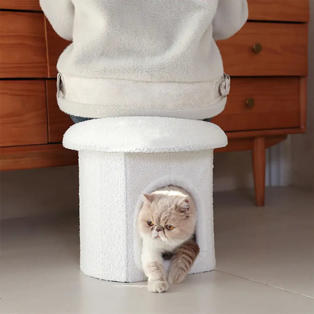 Portable Home Ottoman Pet House Foldable Condo Cat Cave