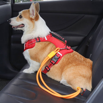 Anti-pull Nylon Dog Car Seat Safety Belt