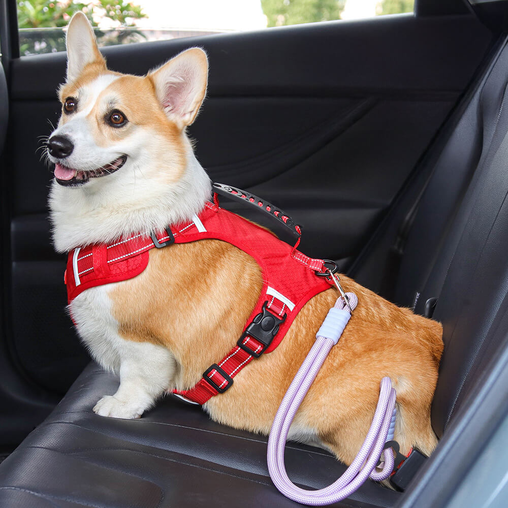 Anti-pull Nylon Dog Car Seat Safety Belt