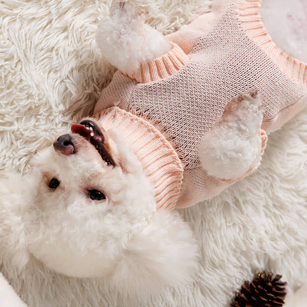 Christmas Turtleneck Dog Knit Sweater Matching Pullover For Dogs And Owner