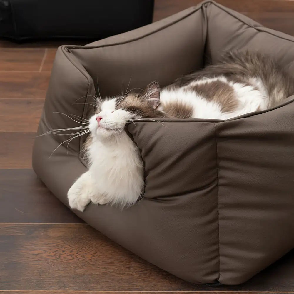 Technology Fabric Square Calming Support Waterproof Scratch-resistant Dog Bed