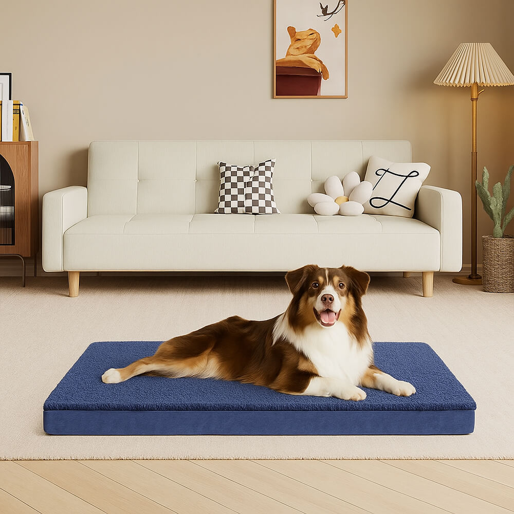 Waterproof Orthopedic Removable Memory Foam Large Dog Bed
