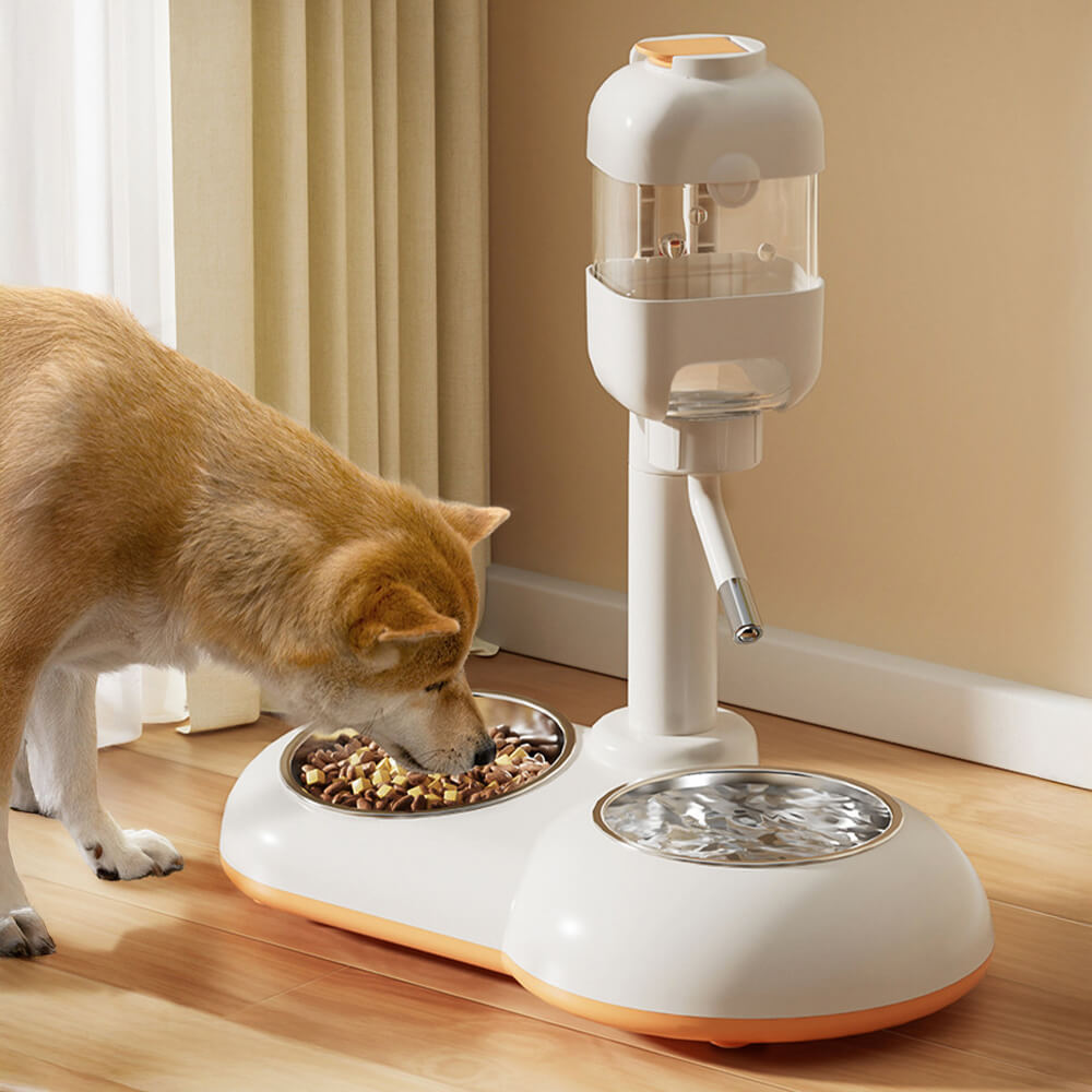 Pet Feeding Bowl Station Food Dispenser With Automatic Water
