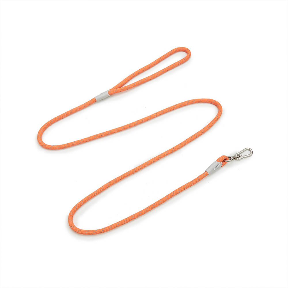 Complete Control Comfortable No-Pull Dog Harness and Leash