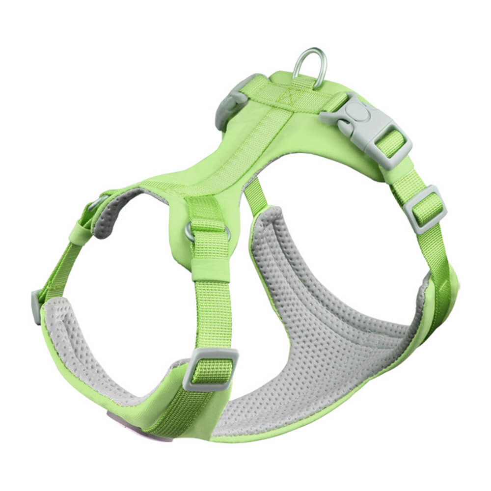 Complete Control Comfortable No-Pull Dog Harness and Leash