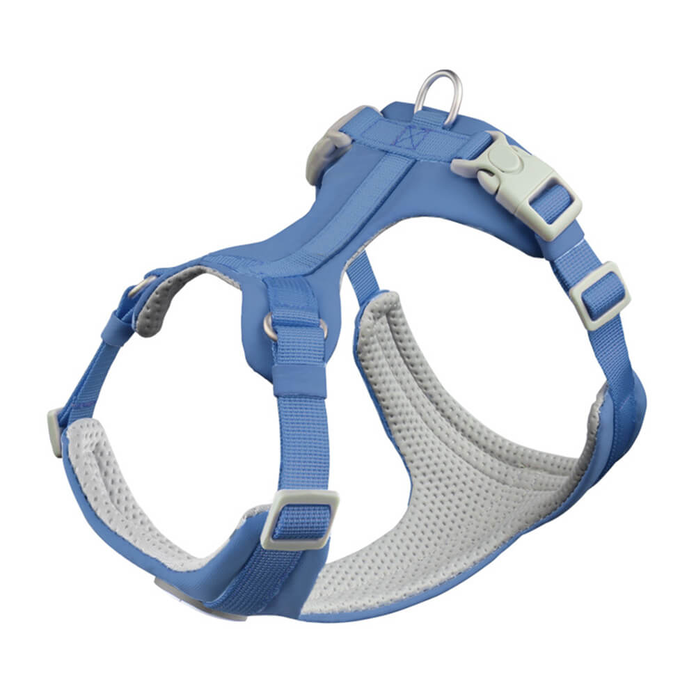 Complete Control Comfortable No-Pull Dog Harness and Leash
