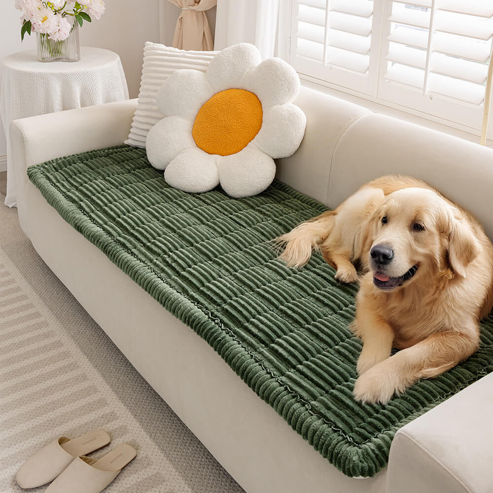 https://funnyfuzzy.com//products/funda-para-sofa-make-waffle-biscuit-suave-franela-acogedora-y-alfombra-transpirable-para-mascotas-deleitate-con-una-comodidad-sabrosa