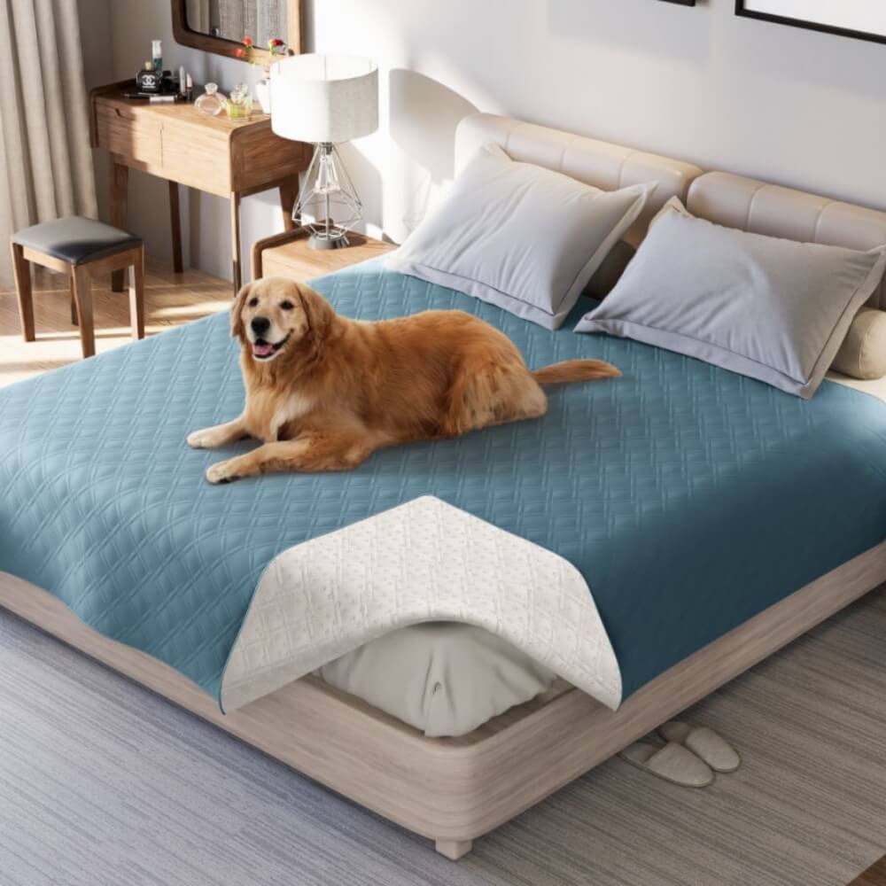 Multifunctional Water-repellent Pet Blanket Mattress Protector Flat Sheet