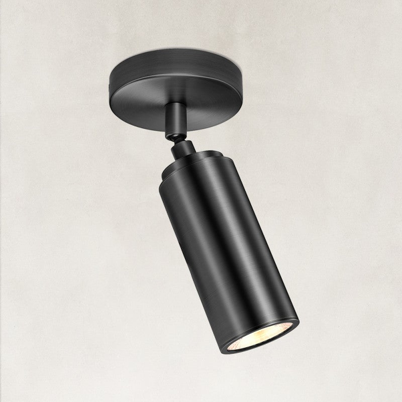 Muse Adjustable Spot Downlight Flush Mount 2.8"D
