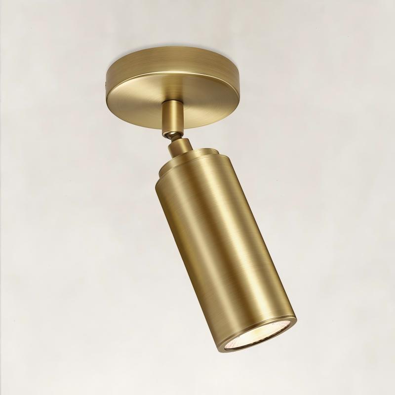 Muse Adjustable Spot Downlight Flush Mount 2.8"D