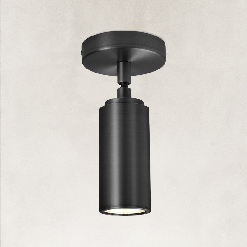 Muse Adjustable Spot Downlight Flush Mount 2.8"D