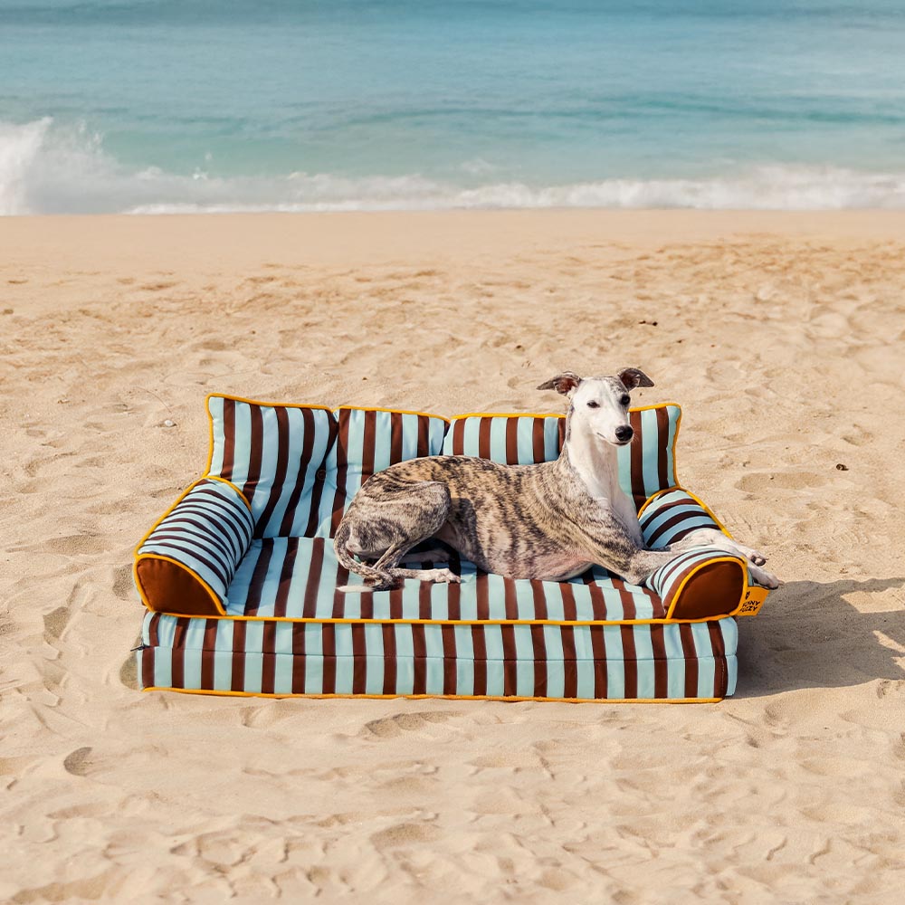 Stripe Waterproof Foldable Large Dog Sofa Bed - Sunny Siesta
