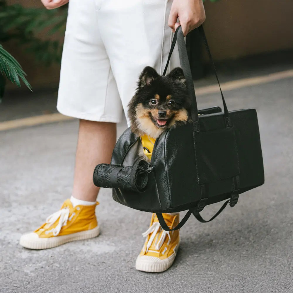 Travel Safety Elevated Detachable Dog Car Seat Center Console for Small Dogs