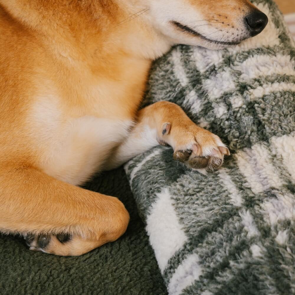 Vintage Checkered Washable Cozy Support Calming Dog & Cat Sofa Bed