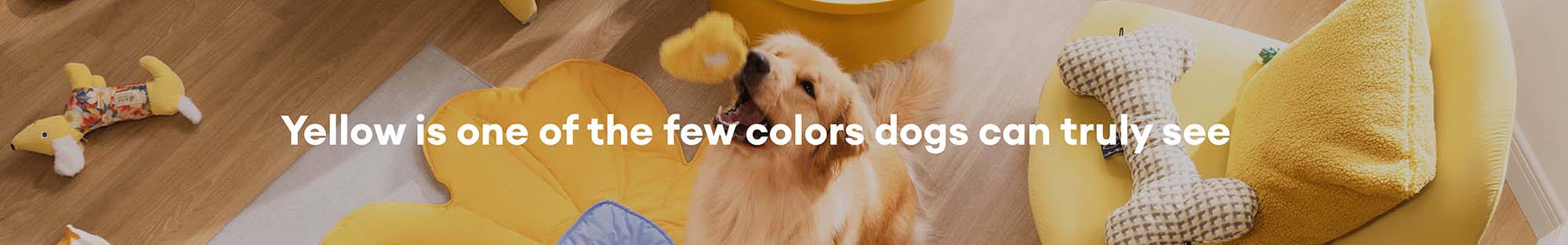 slider image slider_item_aA3KYE