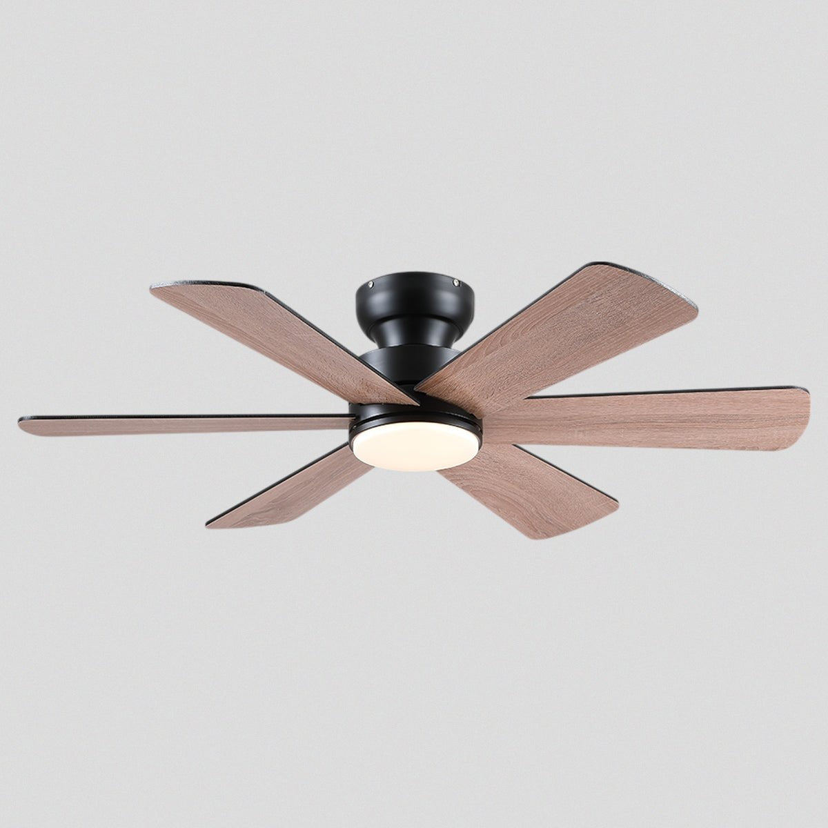 Celestial Wind Ceiling Fans with Lights - Joyfuzzy
