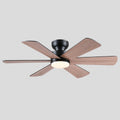 Celestial Wind Ceiling Fans with Lights - Joyfuzzy