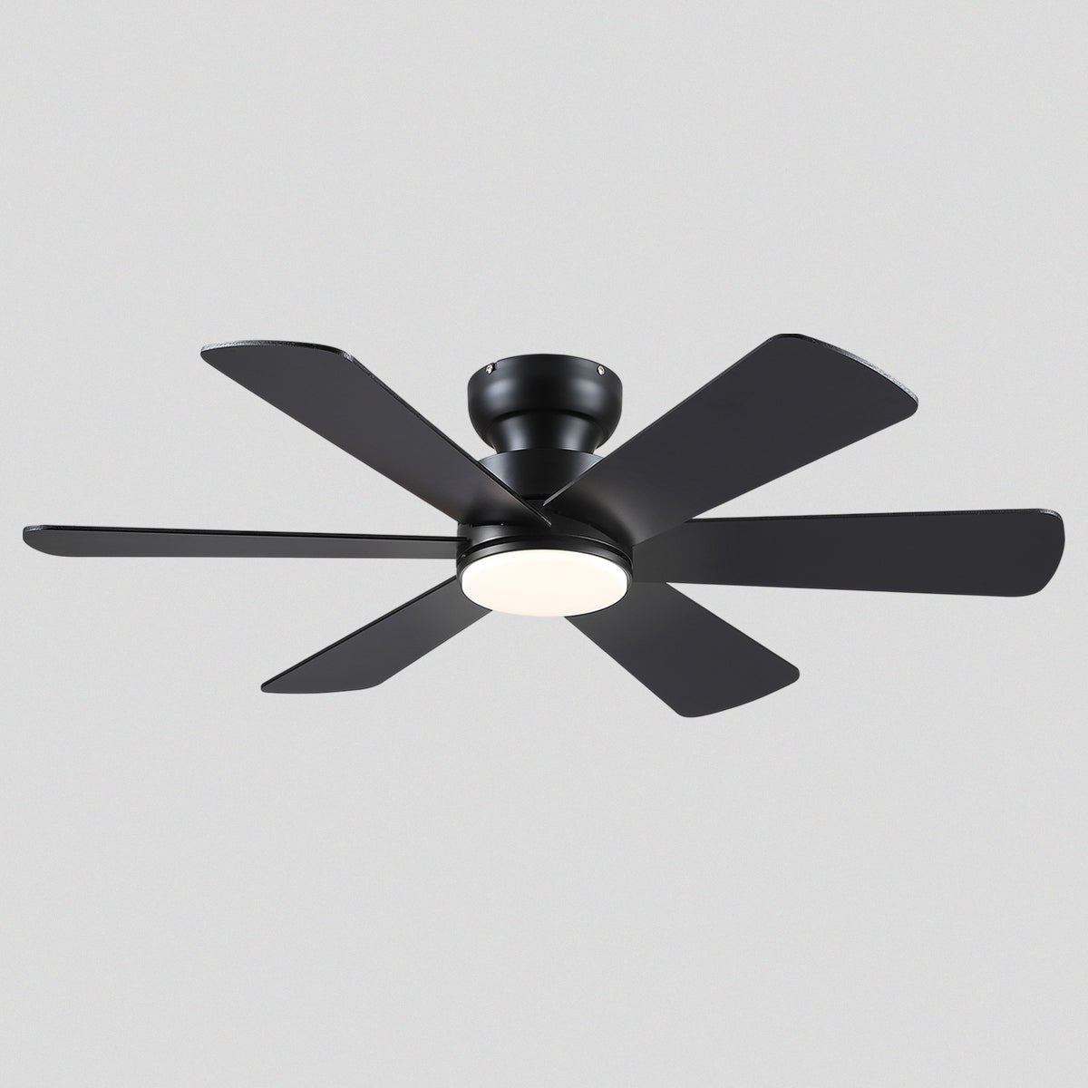 Celestial Wind Ceiling Fans with Lights - Joyfuzzy