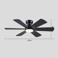 Celestial Wind Ceiling Fans with Lights - Joyfuzzy