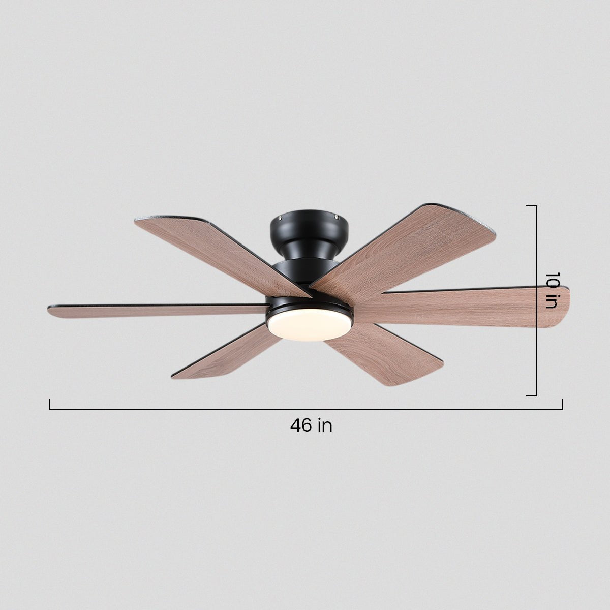Celestial Wind Ceiling Fans with Lights - Joyfuzzy