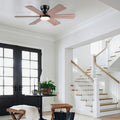 Celestial Wind Ceiling Fans with Lights - Joyfuzzy