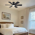 Celestial Wind Ceiling Fans with Lights - Joyfuzzy