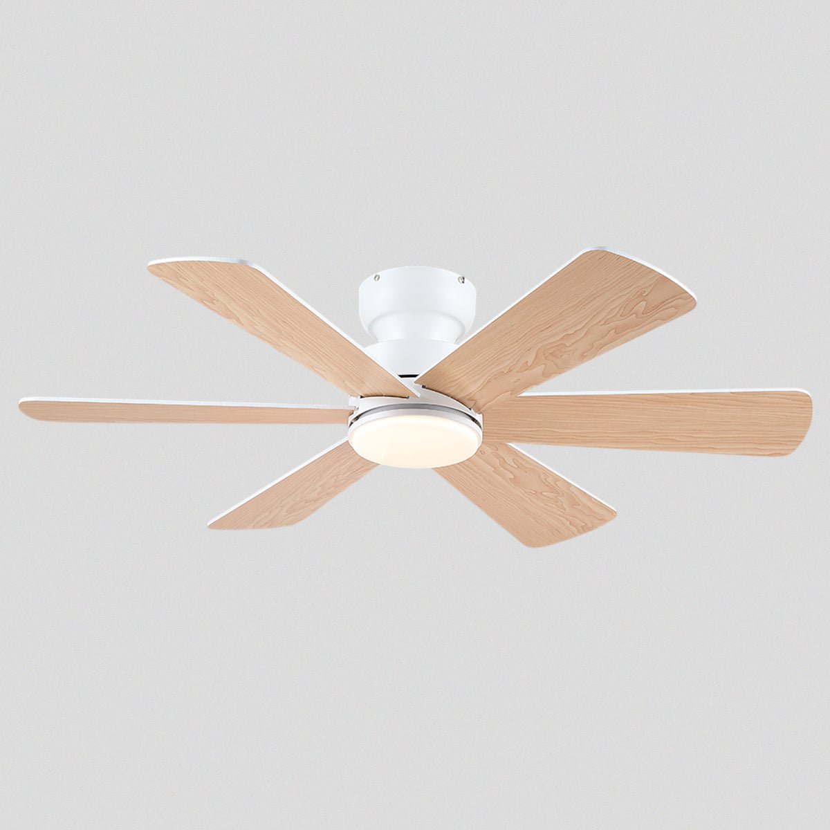 Celestial Wind Ceiling Fans with Lights - Joyfuzzy