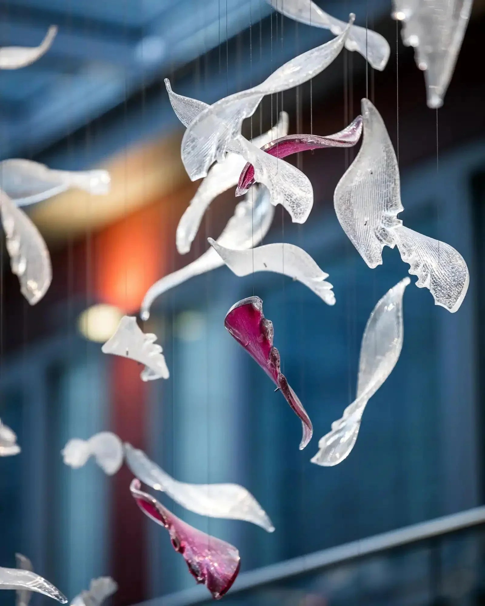 Flying Glass Feather Chandelier - Joyfuzzy