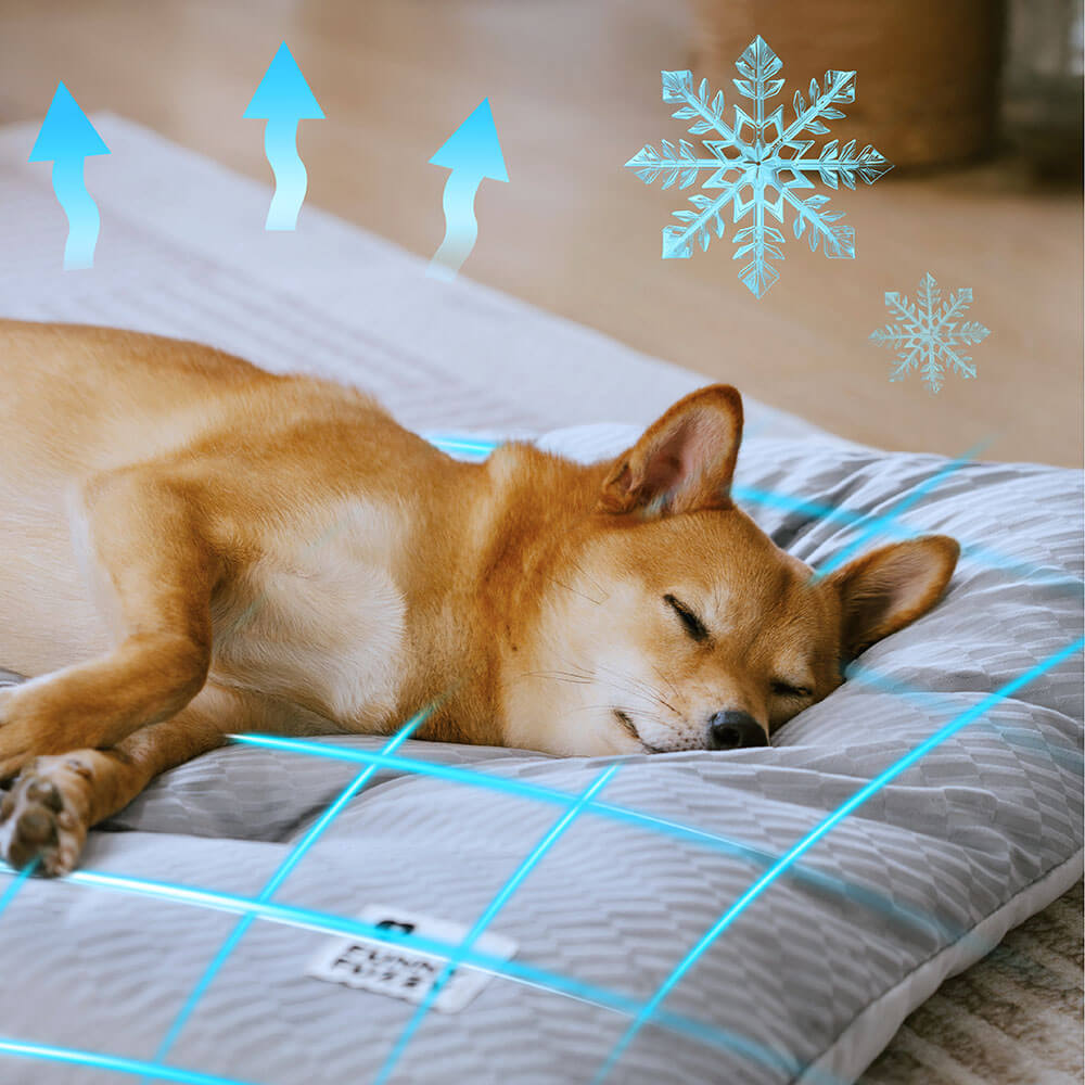 Dual-Sided Cozy Plush Calming Washable Dog Mats