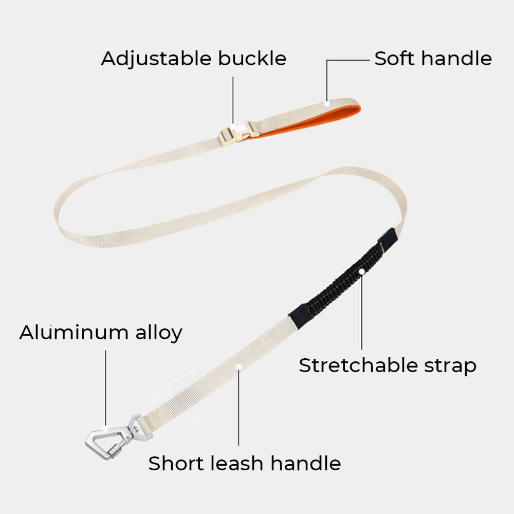 Lightweight Waterproof Breathable Anti-Pull Dog Harness or Multifunctional Leash