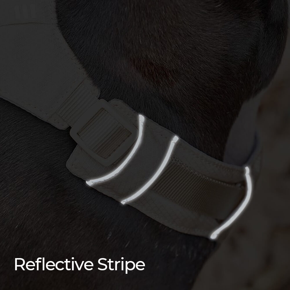 Lightweight Waterproof Breathable Anti-Pull Dog Harness or Multifunctional Leash