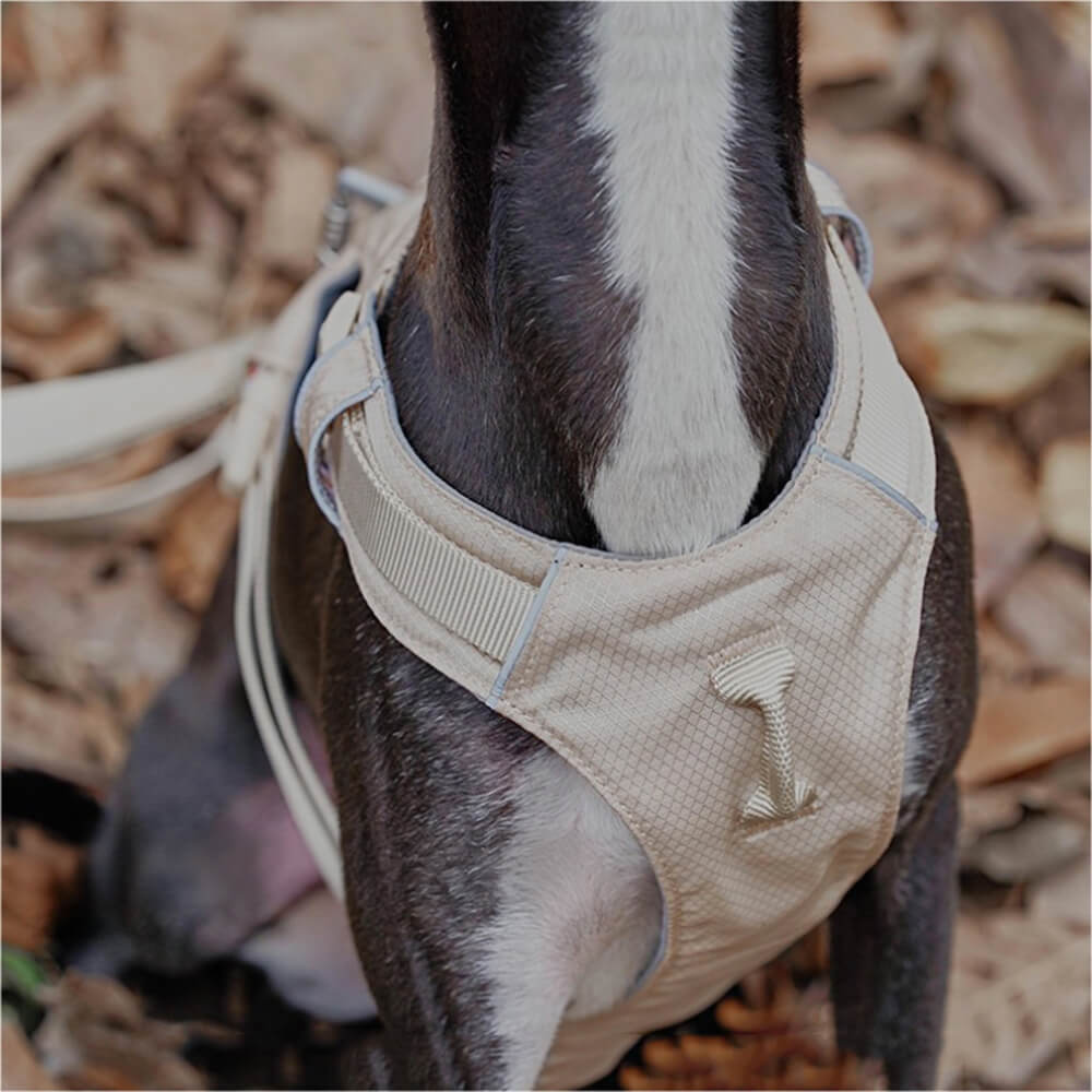 Lightweight Waterproof Breathable Anti-Pull Dog Harness or Multifunctional Leash