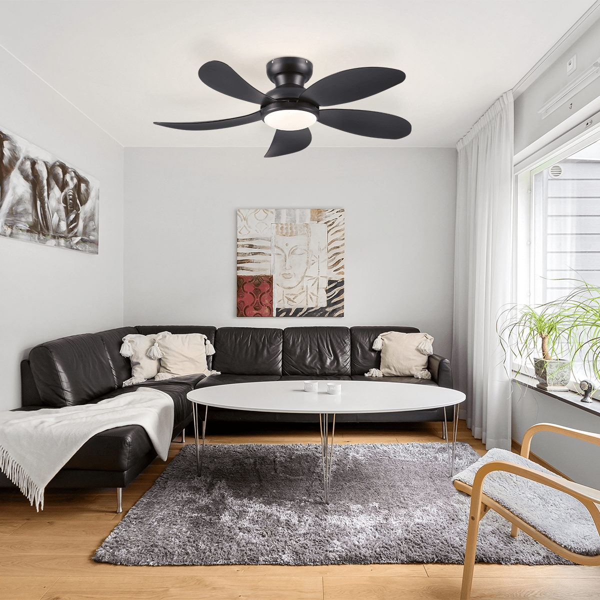 Graceshire contemporary ceiling fan - Joyfuzzy