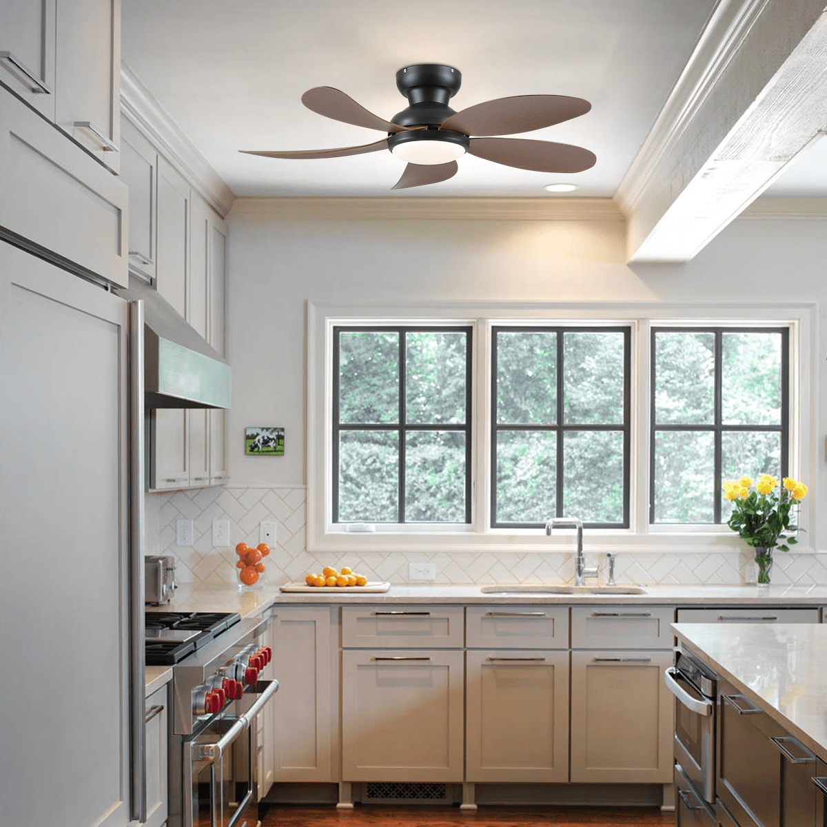 Graceshire contemporary ceiling fan - Joyfuzzy